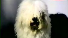 7. Rosa Fumetto Topless – La Vedova Del Trullo