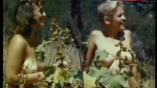9. Marilyn Wesley Nude Sunbathing – The Immoral Mr. Teas