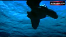 4. Julia Brendler Nude Underwater – Dolphins
