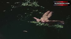 6. Jenny Agutter Naked Underwater – Walkabout