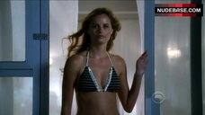 6. Ricki Noel Lander Bikini Scene – Csi: Crime Scene Investigation