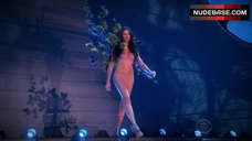 2. Adriana Lima in Pink Bra and Panties – The Victoria'S Secret Fashion Show 2015
