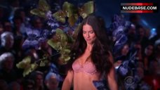 7. Adriana Lima in Pink Bra and Panties – The Victoria'S Secret Fashion Show 2015