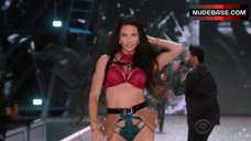 8. Adriana Lima in Lingerie on Stage – The Victoria'S Secret Fashion Show 2016