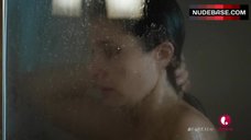 1. Shiri Appleby Shower Scene – Unreal