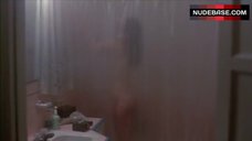 1. Melissa Prophet Nude Silhouette in Shower – Time Walker