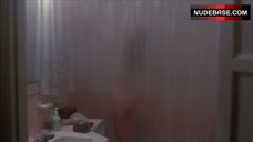 10. Melissa Prophet Nude Silhouette in Shower – Time Walker