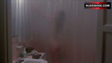 5. Melissa Prophet Nude Silhouette in Shower – Time Walker