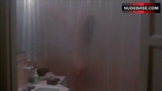 6. Melissa Prophet Nude Silhouette in Shower – Time Walker