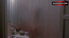 7. Melissa Prophet Nude Silhouette in Shower – Time Walker