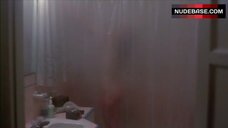 8. Melissa Prophet Nude Silhouette in Shower – Time Walker