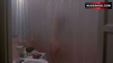 9. Melissa Prophet Nude Silhouette in Shower – Time Walker