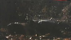 4. Carole Laure Sex Outdoors – La Nuit Avec Hortense