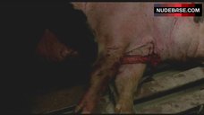 1. Jannete Tomiita Crawls Nude Out of Pig Carcass – Embodiment Of Evil