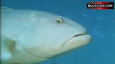 6. Gina Allen Nude Diving – Australia After Dark