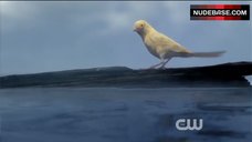 3. Caity Lotz in Wet Underwear – Arrow