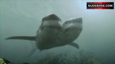 6. Amber English Topless on Beach – 2-Headed Shark Attack