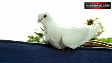 6. Carroll Baker Bikini Scene – Paranoia