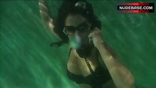 8. Emmanuelle Chriqui in Lingerie Underwater – Women In Trouble