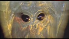 1. Jillian Mcwhirter Alien Sex – The Progeny