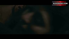 4. Irina Coito Sex Scene – Rust And Bone