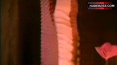 45. Stefanie Stappenbeck Lingerie Scene – Hotte Im Paradies