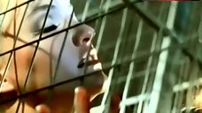 56. Eva Herzig Lesbi Scene – Zwei Frauen, Ein Mann Und Ein Baby