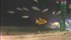 78. Eleonora Vallone Bare Tits and Ass – Carnada