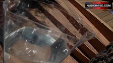 23. Stephanie Scholz Bikini Scene – Absence