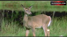 23. Samantha Robinson Naked Breasts – The Love Witch