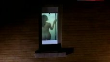 Lisa Fallon Nude in Shower – F/X2