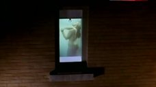 4. Lisa Fallon Nude in Shower – F/X2