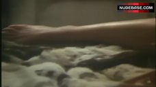 1. Joan Collins Hard Pokies Through Silk Top – The Bitch