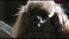 4. Nina Garbiras Flashes Tits – Bruiser