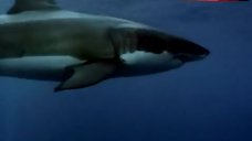 4. Mila Kunis Hot Scene – That '70S Show