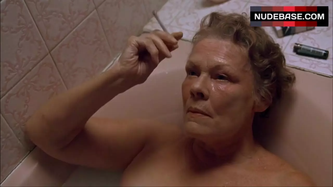 Judi Dench Hot Scene – Notes On A Scandal (0:34) | NudeBase.com