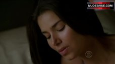 8. Roselyn Sanchez in Bra – Without A Trace