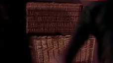 9. Terri Susan Smith Boobs Scene – Basket Case