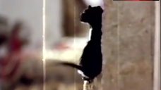 2. Anais De Melo Lesbian Scene – Una Rata En La Oscuridad