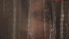 4. Rebecca Gayheart Shower Scene – Robin Cook'S Invasion