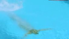 3. Sophie Schutt Full Naked in Swimming Pool – Schone Witwen Kussen Besser