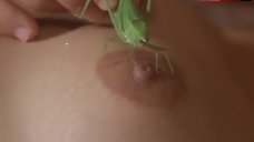 Zelia Diniz Grasshopper on Nude Body – Porno!