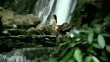 5. Hazel Espinosa Nude in Waterfall – Buhay Na Manikin
