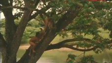 8. Klaudia Koronel Sex on Tree – Tuhog