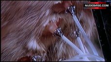 5. Berglind Icey Hot Scene – The Animal