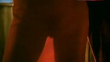 5. Joanna Pacula in See-Through Dress – Husbands And Lovers