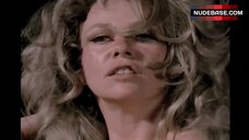 5. Ilona Wilson Tits and Bush – The Mad Bomber