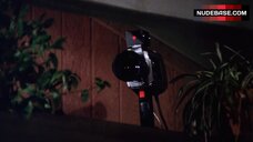 4. Shelley Taylor Morgan Sex Tape – Malibu Express