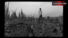 1. Anael Snoek Bare Tits – The Wild Boys