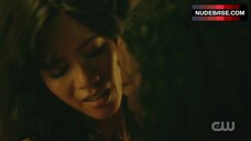 67. Nafessa Williams Hot Lesbian Scene – Black Lightning